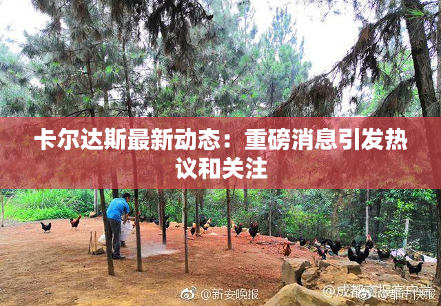 卡尔达斯最新动态：重磅消息引发热议和关注