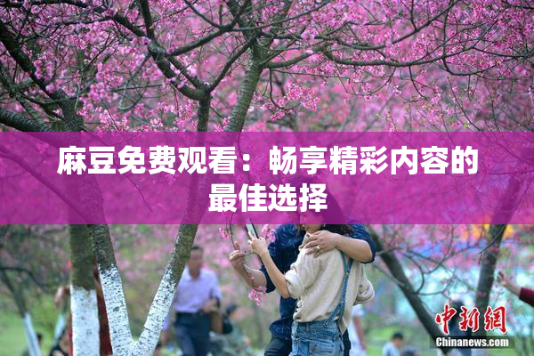 麻豆免费观看：畅享精彩内容的最佳选择