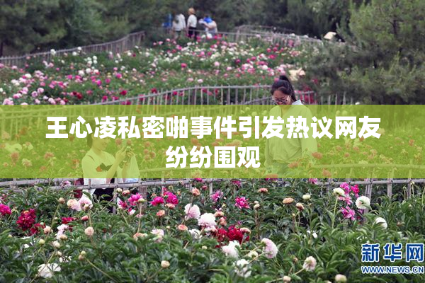 王心凌私密啪事件引发热议网友纷纷围观