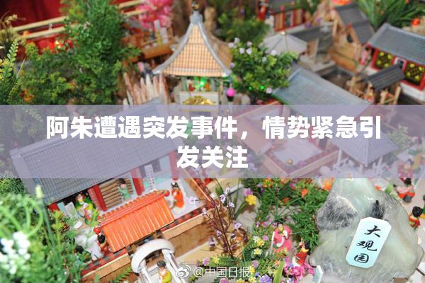 阿朱遭遇突发事件，情势紧急引发关注