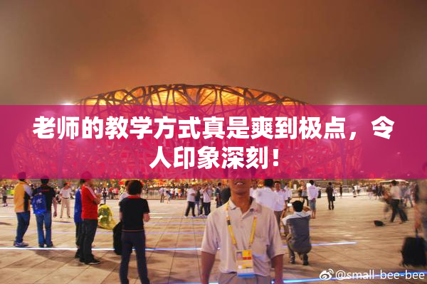 老师的教学方式真是爽到极点，令人印象深刻！
