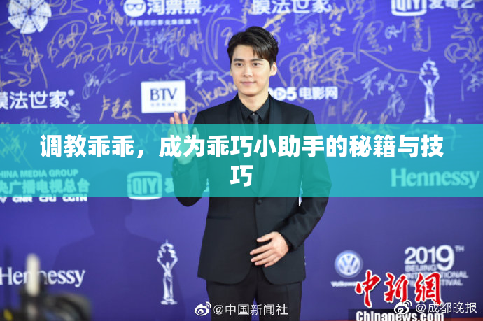 调教乖乖，成为乖巧小助手的秘籍与技巧