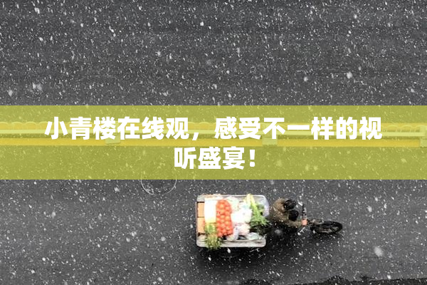 小青楼在线观，感受不一样的视听盛宴！