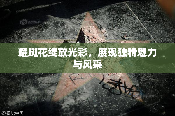 耀斑花绽放光彩，展现独特魅力与风采