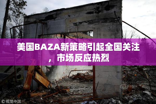 美国BAZA新策略引起全国关注，市场反应热烈