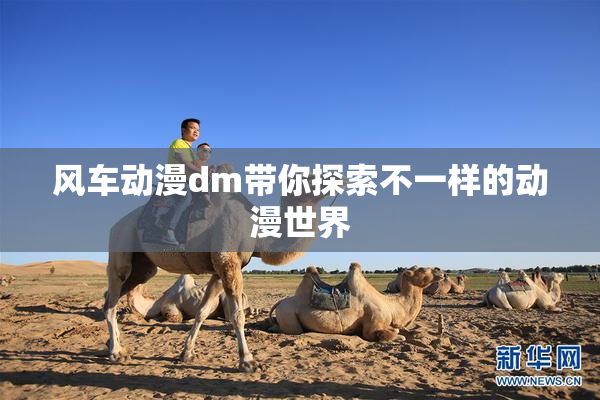 风车动漫dm带你探索不一样的动漫世界