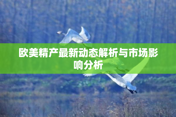 欧美精产最新动态解析与市场影响分析