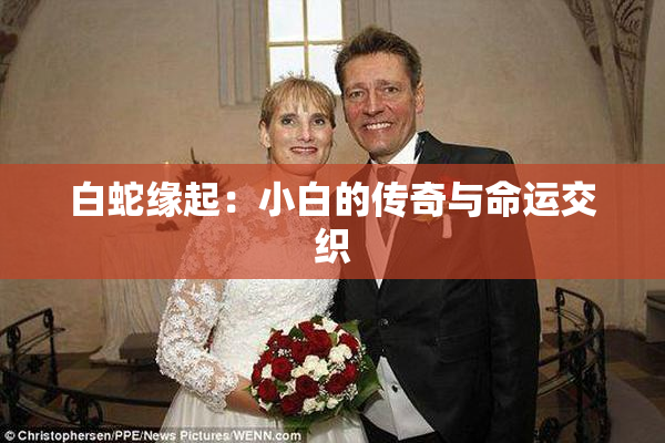 白蛇缘起：小白的传奇与命运交织