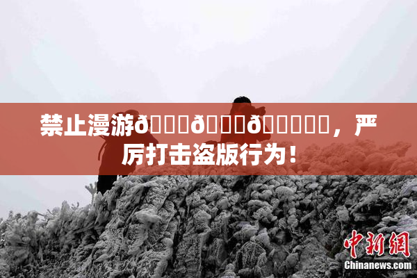 禁止漫游🍆🍑🔞❌‌，严厉打击盗版行为！