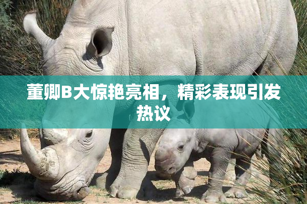 董卿B大惊艳亮相，精彩表现引发热议