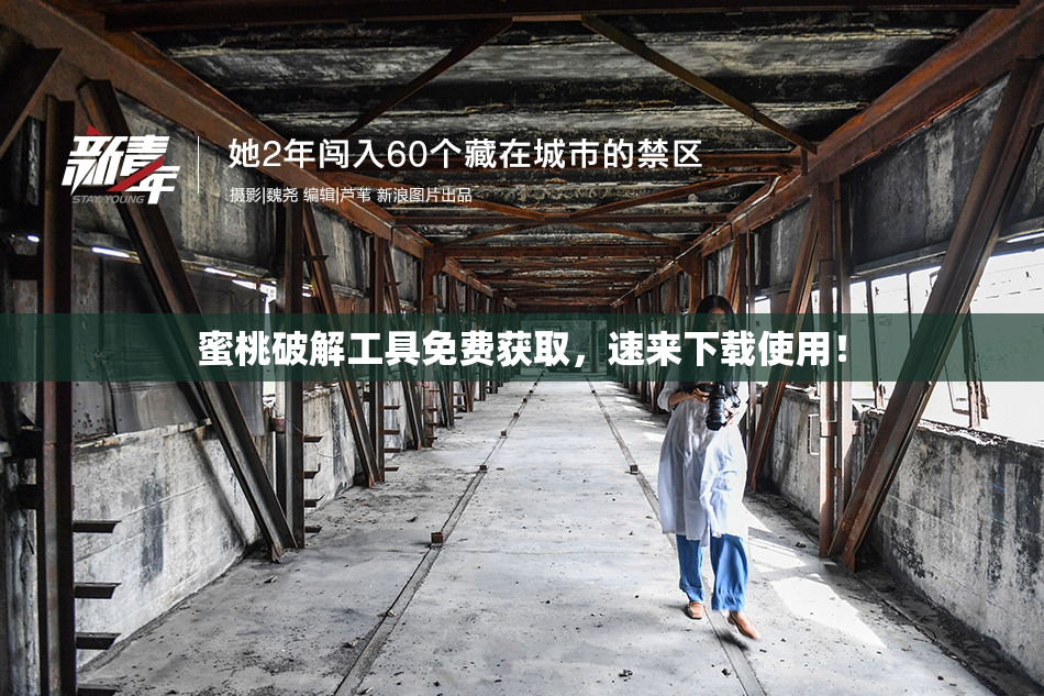 蜜桃破解工具免费获取，速来下载使用！