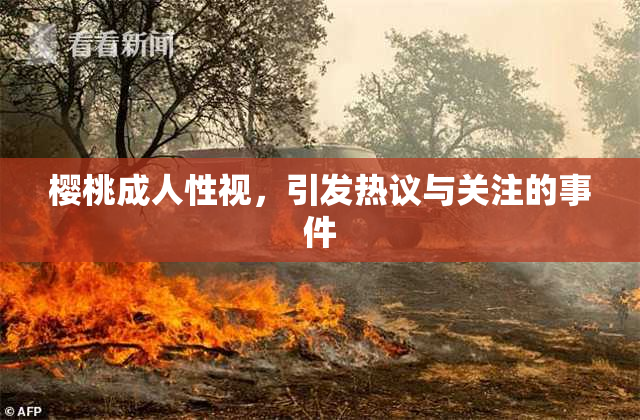 樱桃成人性视，引发热议与关注的事件