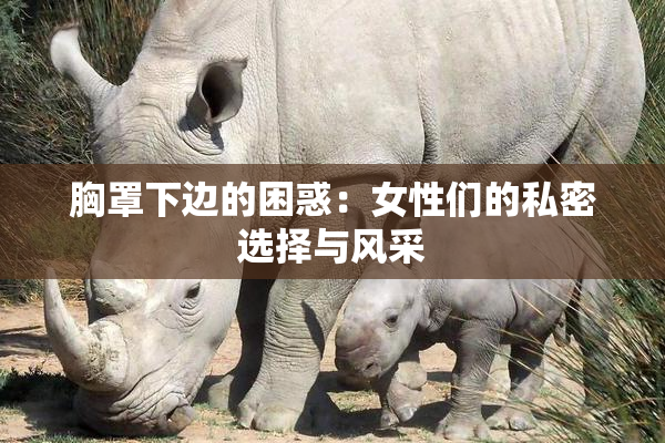 胸罩下边的困惑：女性们的私密选择与风采