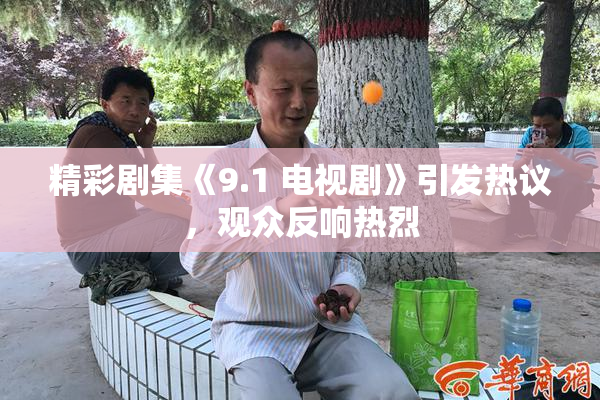 精彩剧集《9.1 电视剧》引发热议，观众反响热烈