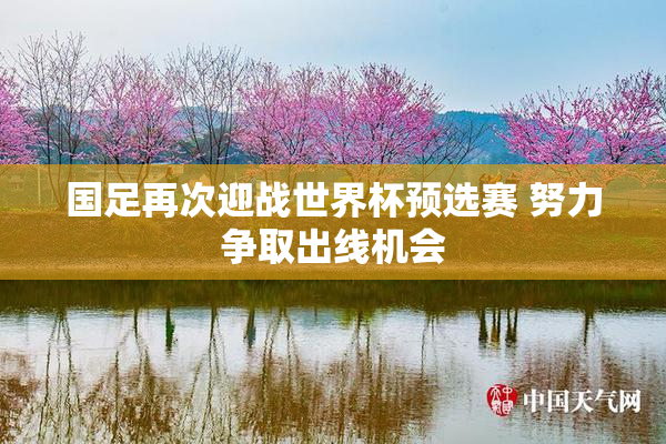 国足再次迎战世界杯预选赛 努力争取出线机会