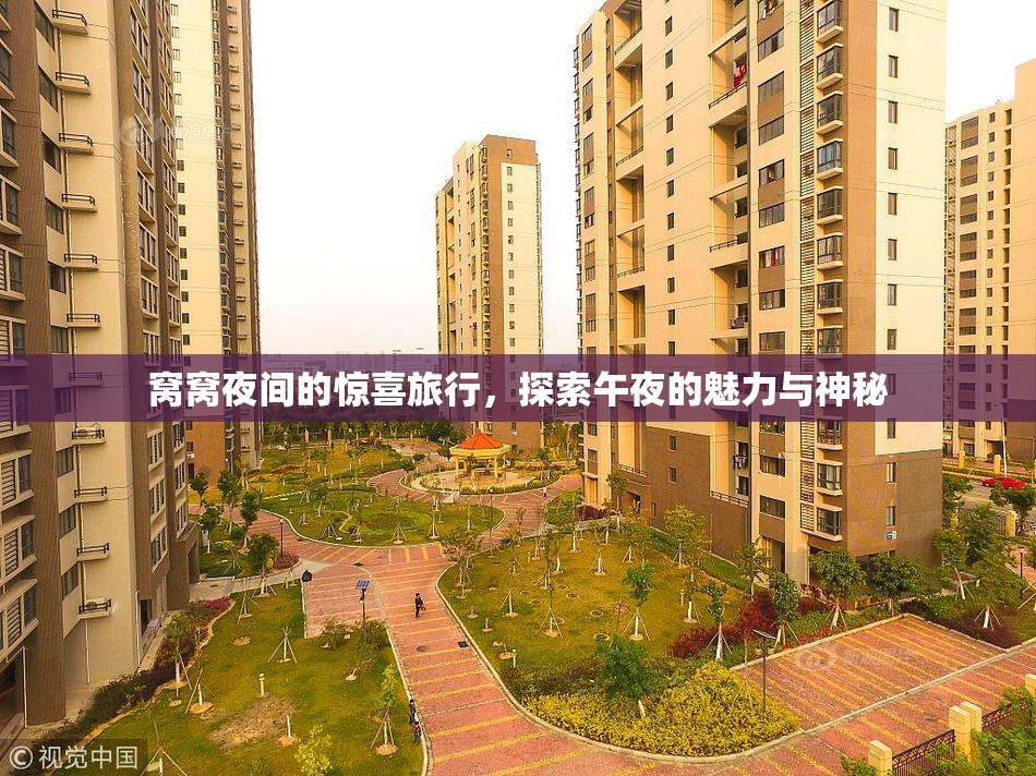 窝窝夜间的惊喜旅行，探索午夜的魅力与神秘