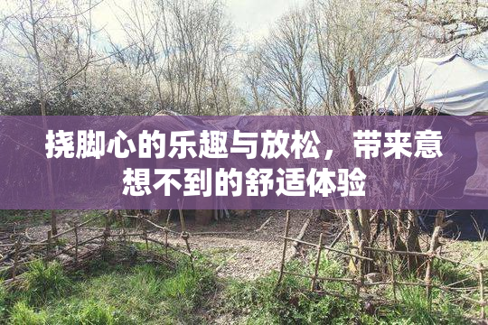 挠脚心的乐趣与放松，带来意想不到的舒适体验