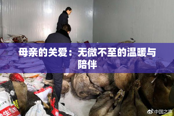 母亲的关爱：无微不至的温暖与陪伴