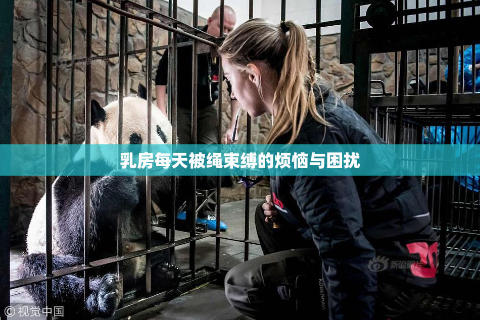乳房每天被绳束缚的烦恼与困扰