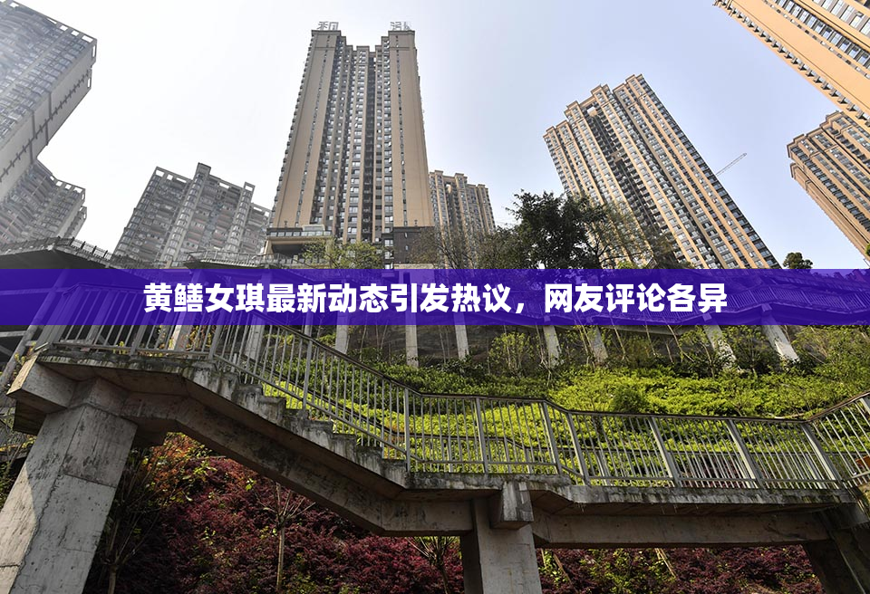 黄鳝女琪最新动态引发热议，网友评论各异