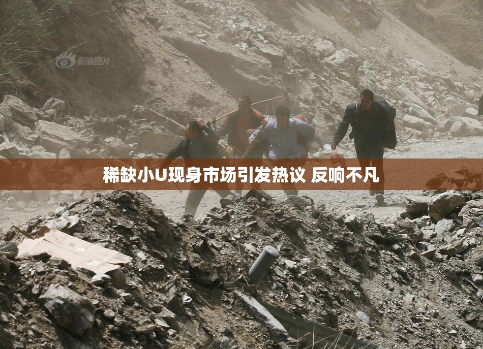 稀缺小U现身市场引发热议 反响不凡