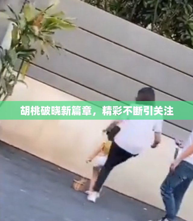 胡桃破晓新篇章，精彩不断引关注