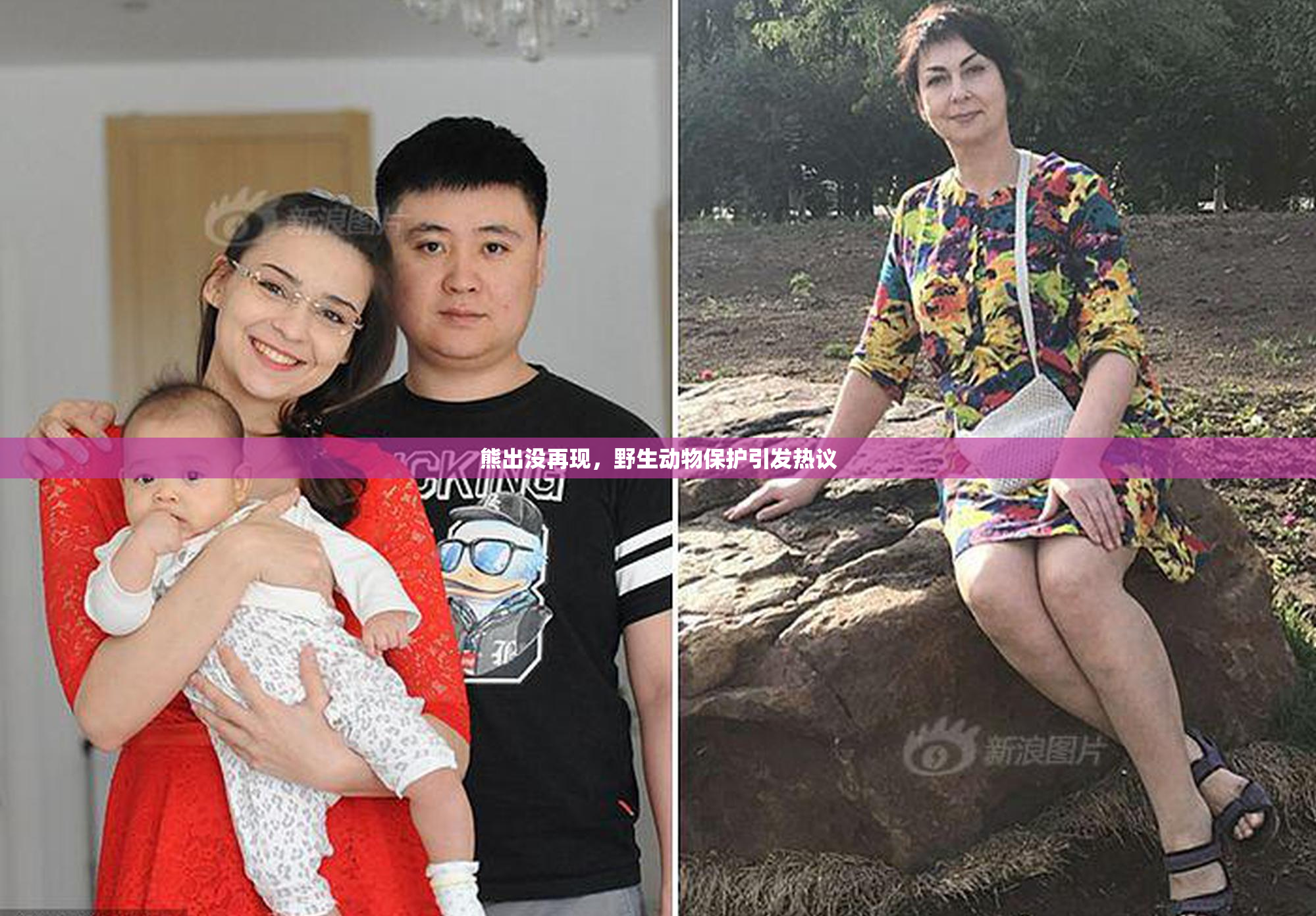 熊出没再现，野生动物保护引发热议