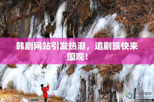 韩剧网站引发热潮，追剧族快来围观！