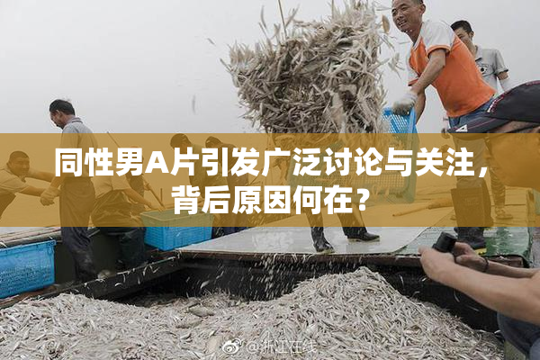 同性男A片引发广泛讨论与关注，背后原因何在？