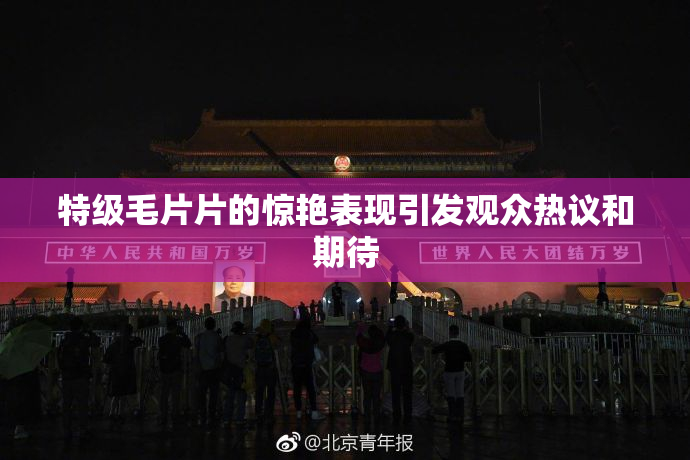 特级毛片片的惊艳表现引发观众热议和期待