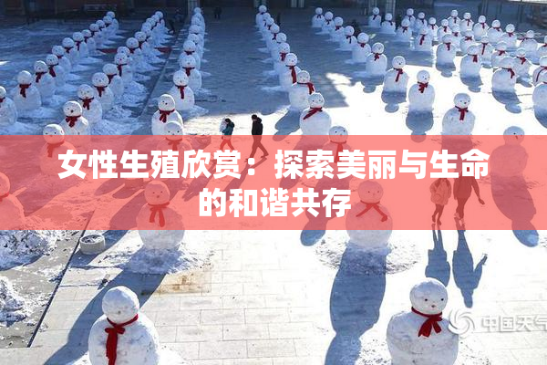 女性生殖欣赏：探索美丽与生命的和谐共存