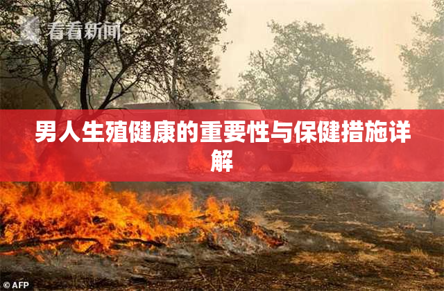 男人生殖健康的重要性与保健措施详解