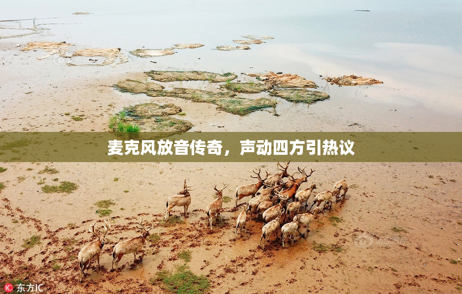 麦克风放音传奇，声动四方引热议