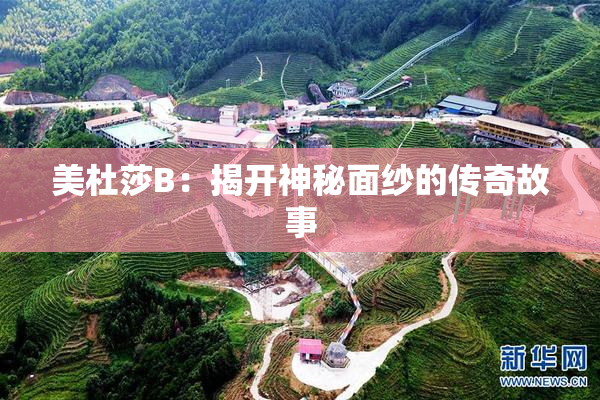 美杜莎B：揭开神秘面纱的传奇故事