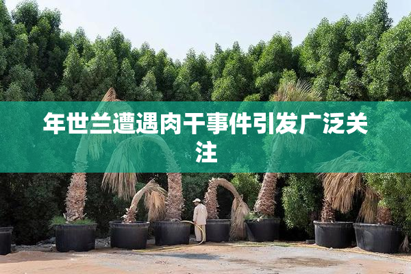 年世兰遭遇肉干事件引发广泛关注