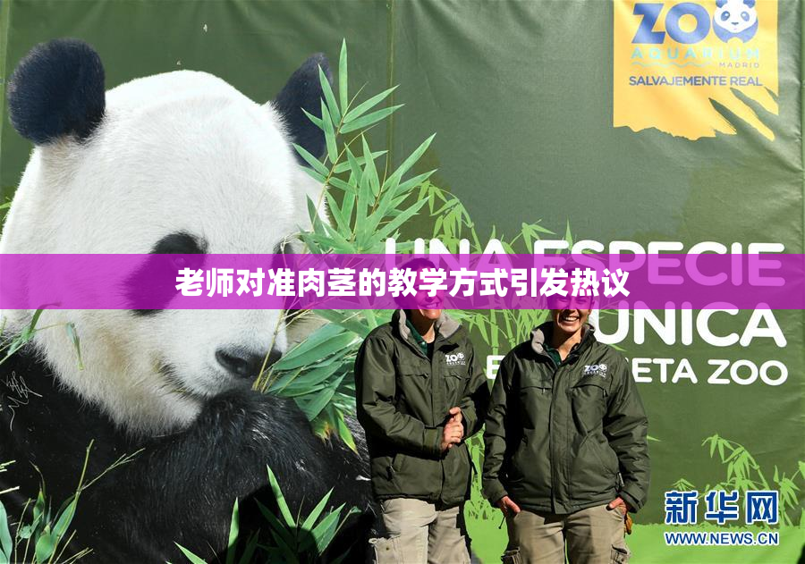 老师对准肉茎的教学方式引发热议