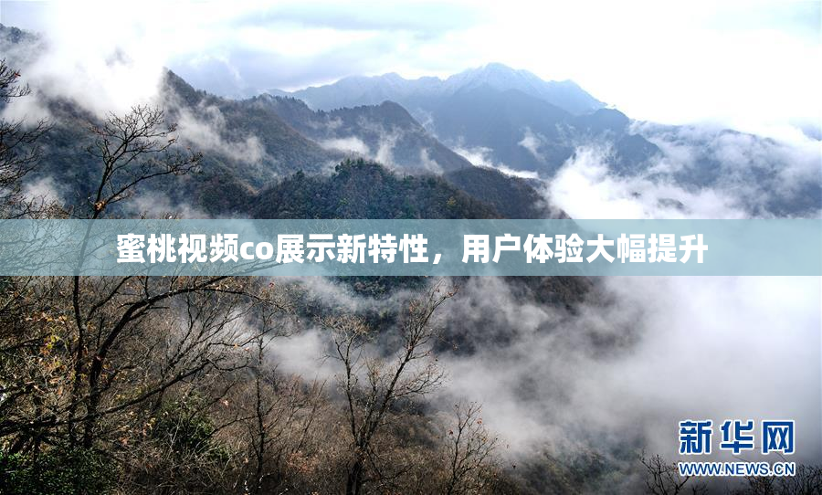 蜜桃视频co展示新特性，用户体验大幅提升