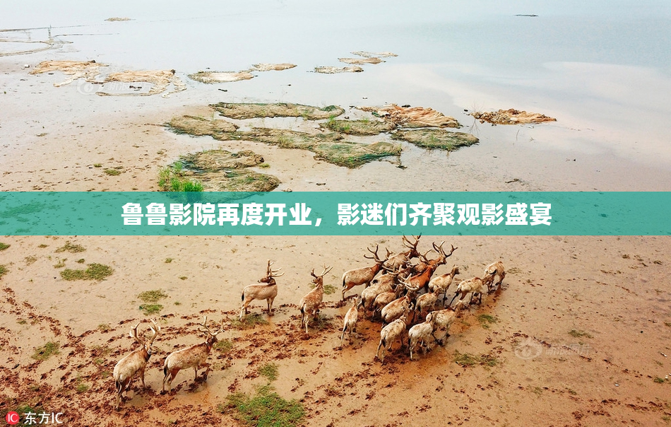 鲁鲁影院再度开业，影迷们齐聚观影盛宴