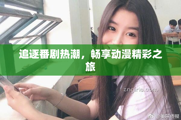 追逐番剧热潮，畅享动漫精彩之旅
