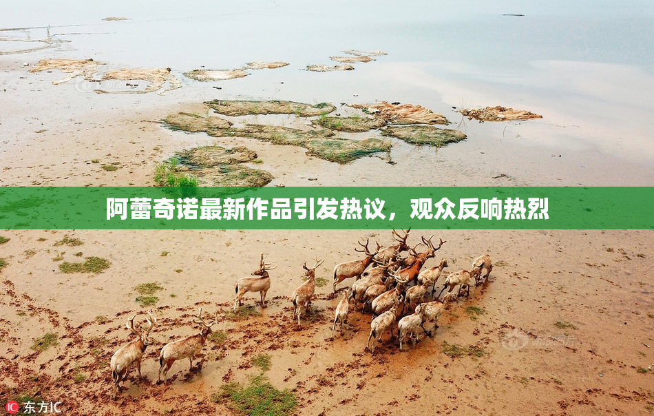 阿蕾奇诺最新作品引发热议，观众反响热烈