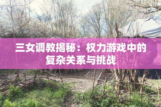 三女调教揭秘：权力游戏中的复杂关系与挑战