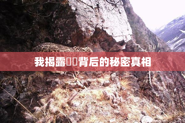我揭露妺妺背后的秘密真相