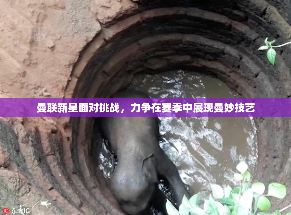 曼联新星面对挑战，力争在赛季中展现曼妙技艺