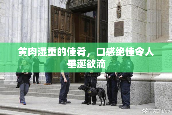 黄肉湿重的佳肴，口感绝佳令人垂涎欲滴