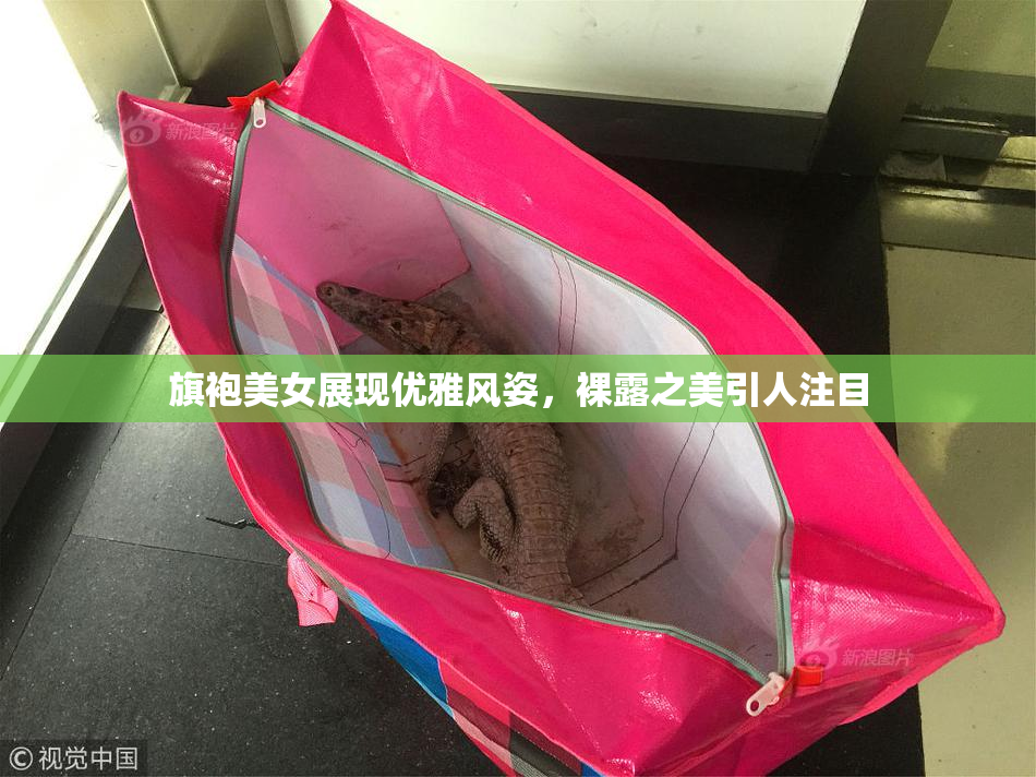 旗袍美女展现优雅风姿，裸露之美引人注目
