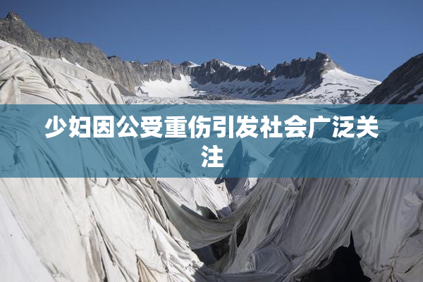 少妇因公受重伤引发社会广泛关注