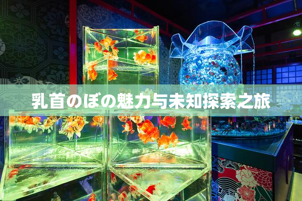 乳首のぼの魅力与未知探索之旅