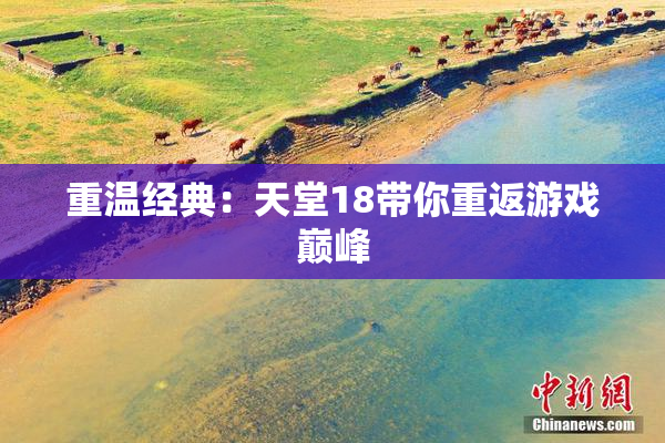 重温经典：天堂18带你重返游戏巅峰