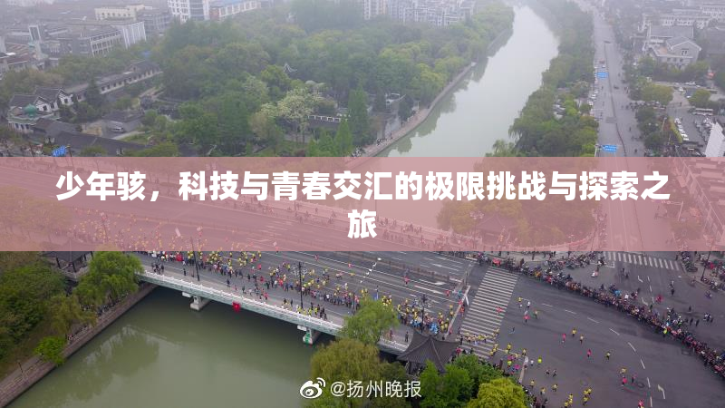 少年骇，科技与青春交汇的极限挑战与探索之旅