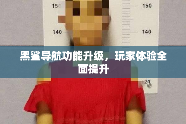 黑鲨导航功能升级，玩家体验全面提升